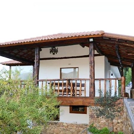 Quintinha D'Amelia Villa Celorico De Basto Buitenkant foto