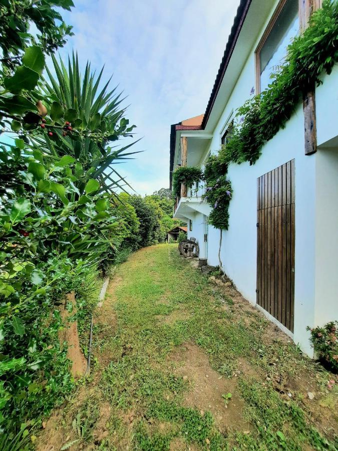 Quintinha D'Amelia Villa Celorico De Basto Buitenkant foto