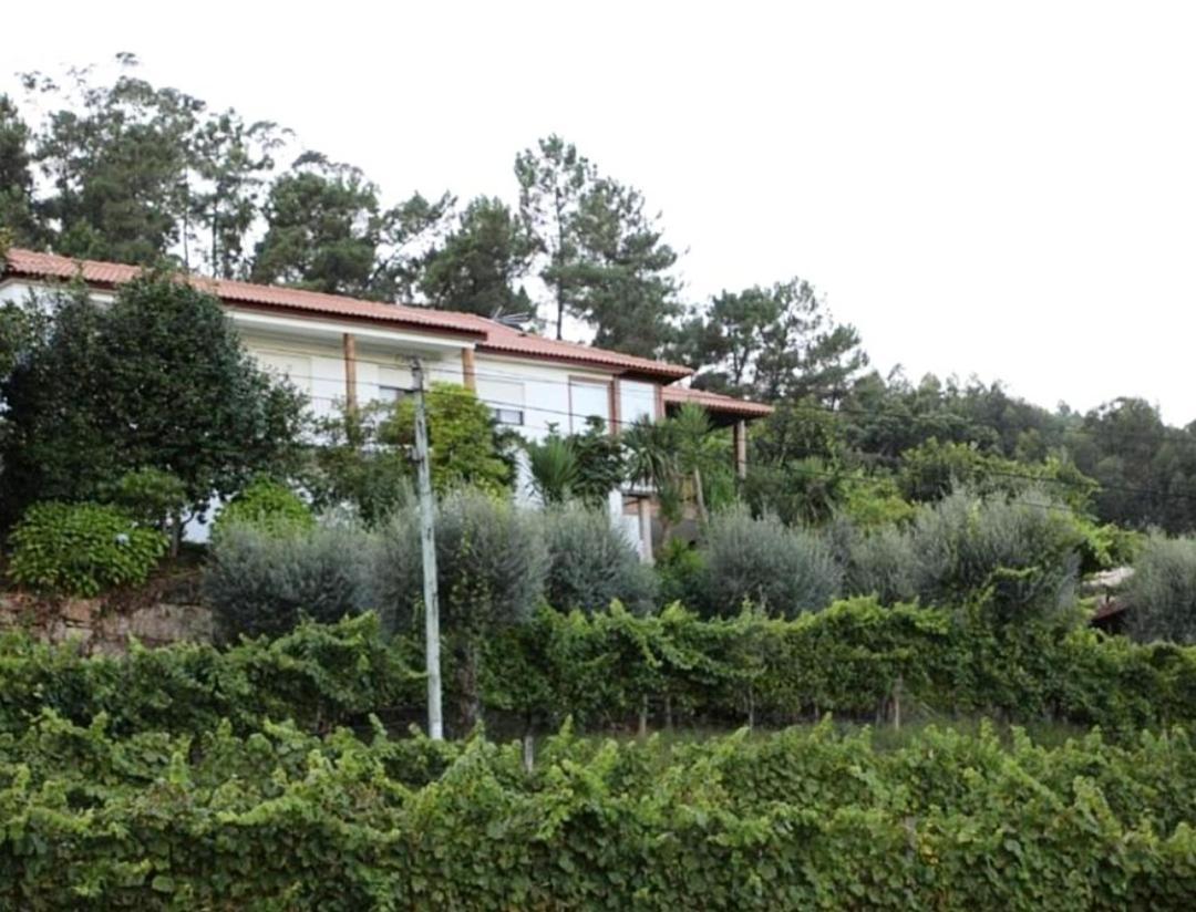 Quintinha D'Amelia Villa Celorico De Basto Buitenkant foto