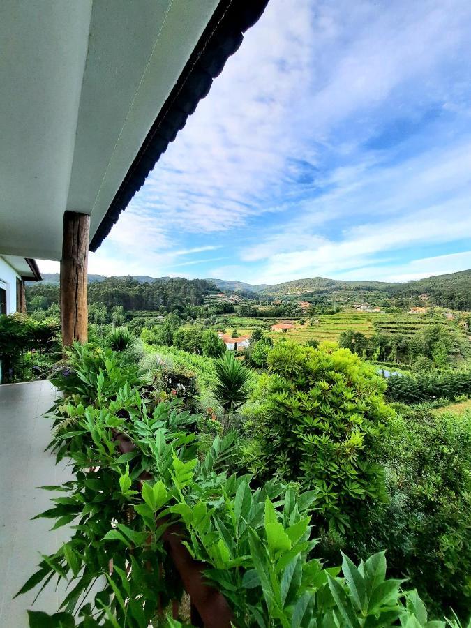 Quintinha D'Amelia Villa Celorico De Basto Buitenkant foto